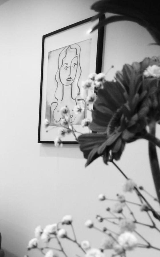 Carnot Chic Διαμέρισμα Καρκασόν Εξωτερικό φωτογραφία